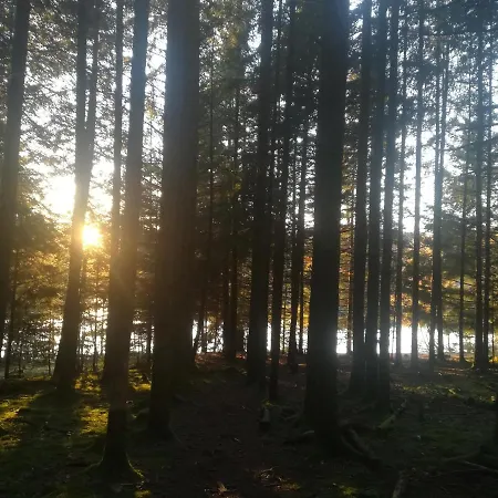 Les Bois De Malaguet - D'etape Et De Sejour Monlet