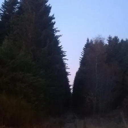 Les Bois De Malaguet - D'etape Et De Sejour Monlet