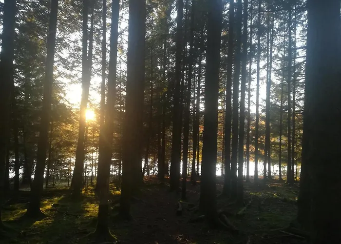 Les Bois De Malaguet - D'etape Et De Sejour Monlet