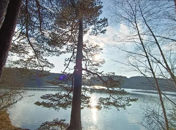 Les Bois De Malaguet - D'etape Et De Sejour Guest house