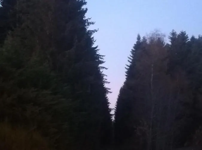 Les Bois De Malaguet - D'etape Et De Sejour Monlet