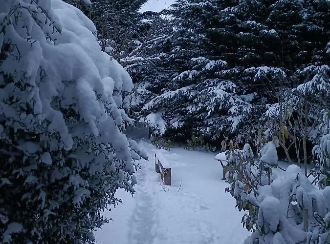 Les Bois De Malaguet - D'etape Et De Sejour Monlet